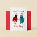 Valentines Day Card - I Think I've Caught The Love Bug