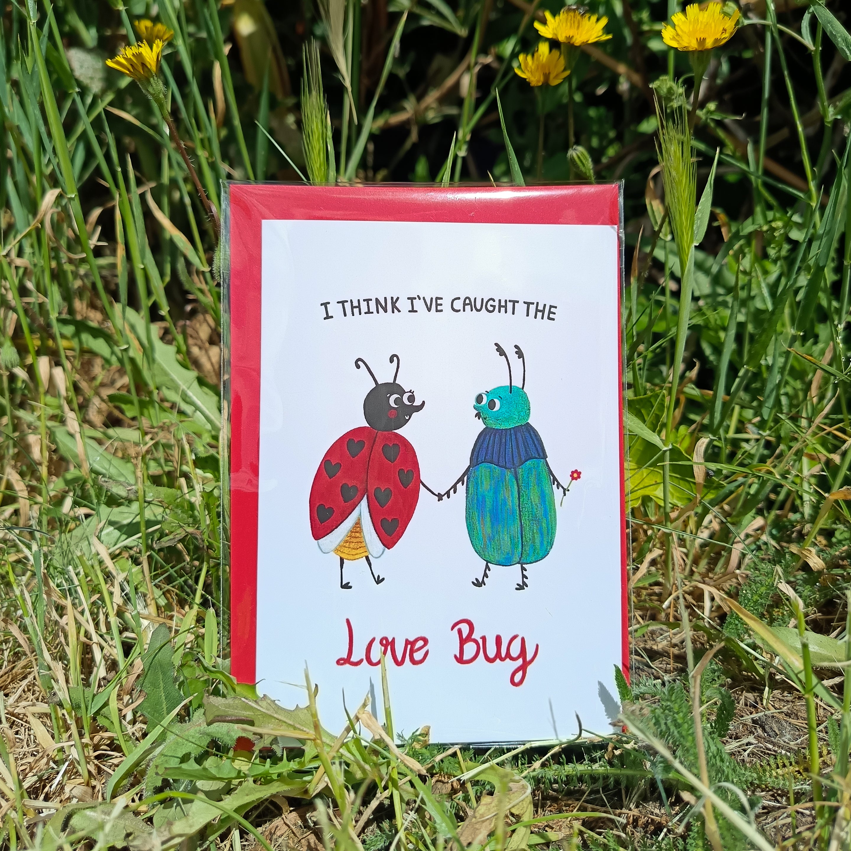 Valentines Day Card - I Think I've Caught The Love Bug