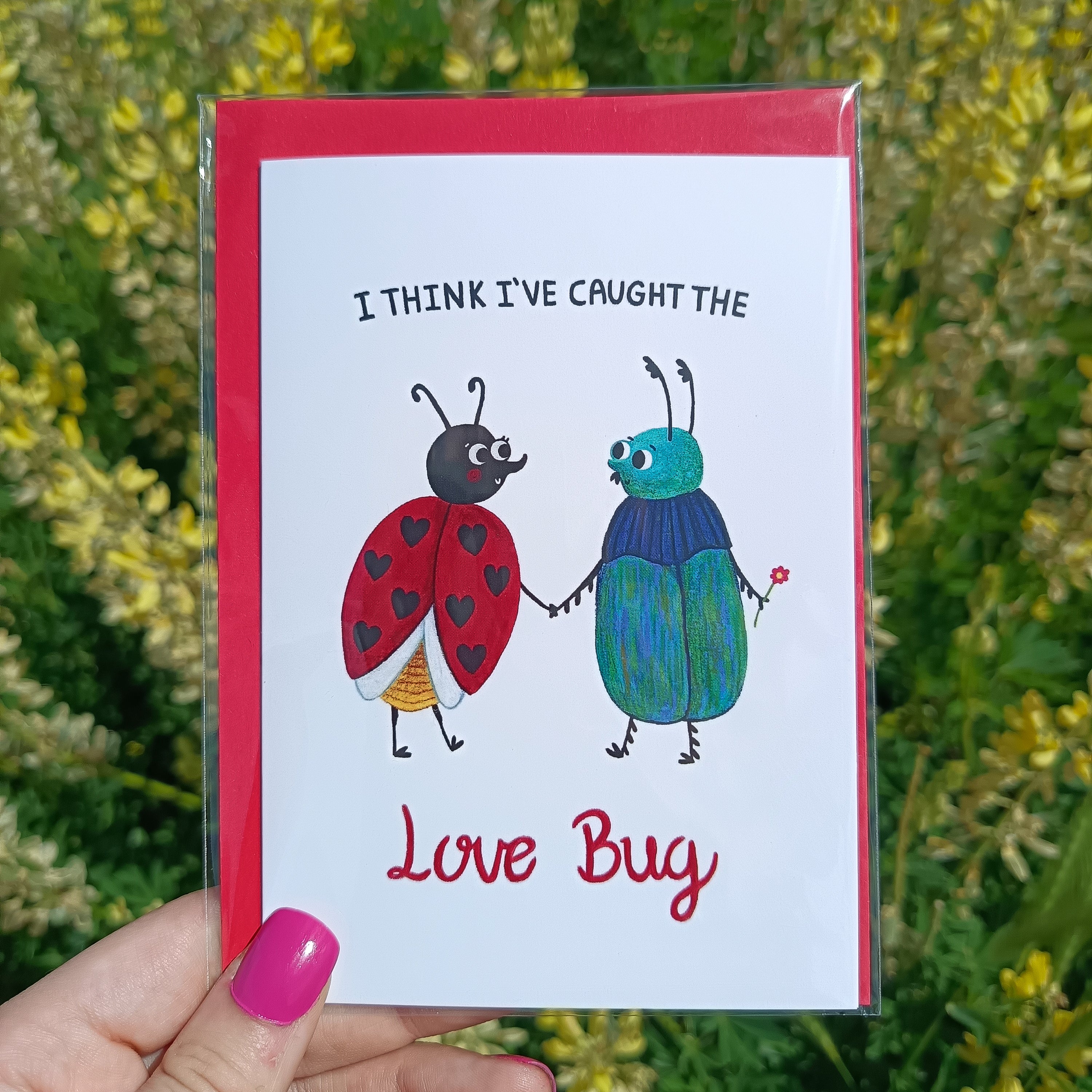Valentines Day Card - I Think I've Caught The Love Bug